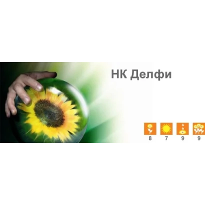 Солнечный цветок с надписью НК Делфи