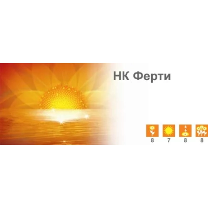 Брендовый баннер с названием НК Ферти и изображением солнца над водой