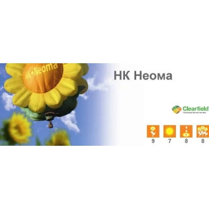 Солнечные цветы с надписью НК Неома на фоне голубого неба