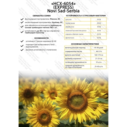 Сунцокрета НС Х 6054 (EXPH654) Novi Sad-Serbia