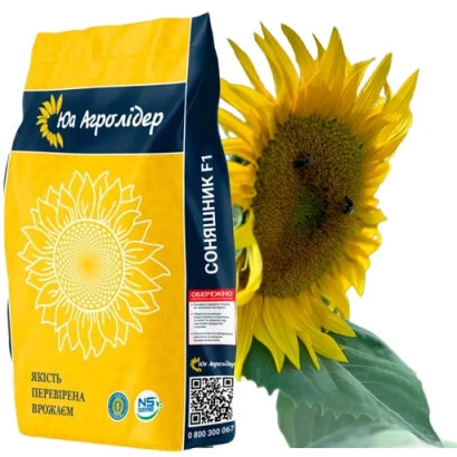 Bag of sunflower seeds NS Kh 6320 from agro-holding