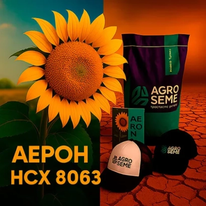 Солнечное поле с пакетом семян АЕРОН HCX 8063 - НС Х 8063