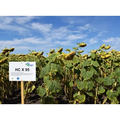 Знак з написом HC X 95 на фоні соняшнику - НС Х 95