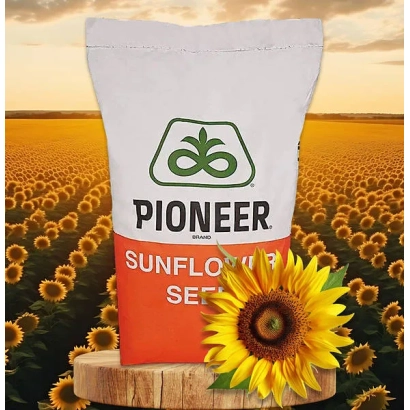 Пакет семян подсолнечника Pioneer на фоне поля - П63ЛЕ10