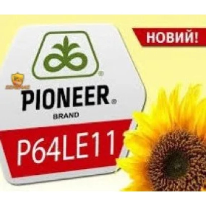 Sunflower seeds Pioneer P64LE11