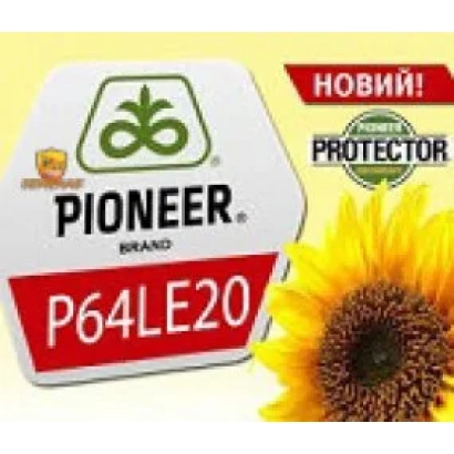 Насіння соняшника Pioneer P64LE20 - П64ЛЕ20