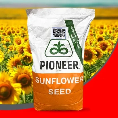 Пакет семян подсолнечника Pioneer - П64ЛЛ155