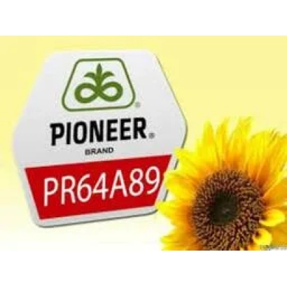 Мешок семян подсолнечника Pioneer PR64A89 - ПР63А62