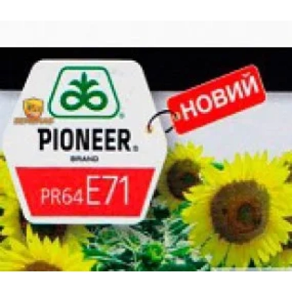 Sunflower seeds variety PR64E71 brand Pioneer