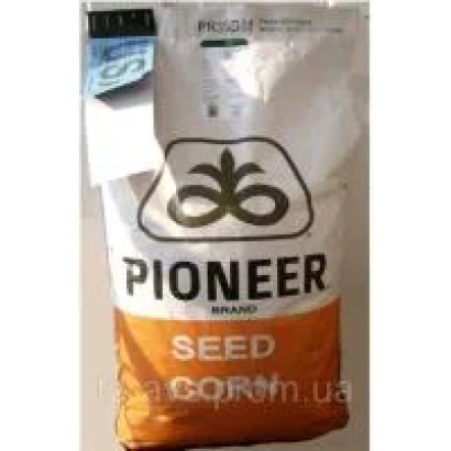 Pioneer seed corn bag - PR64G46