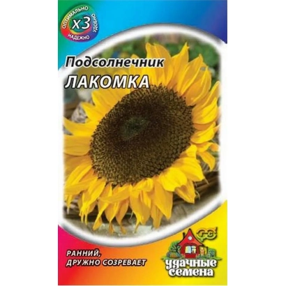 Насіння соняшнику сорту Лаконіка, сорт Р 5 ХІ 3 М