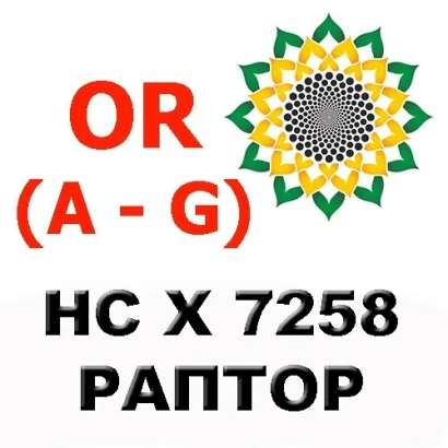 Регистрационный фото семян подсолнечника РАПТОР