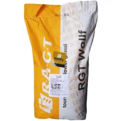 Мішок насіння соняшнику RGT INOVELL - РЖТ ІНОВЕЛЛ