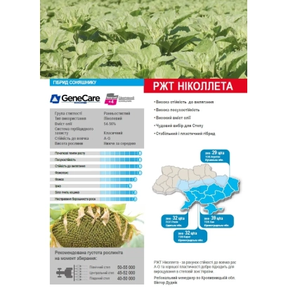 Пакет семян подсолнечника РЖТ НІКОЛЛЕТА с информацией о сорте и характеристиках - РЖТ НИКОЛЛЕТА