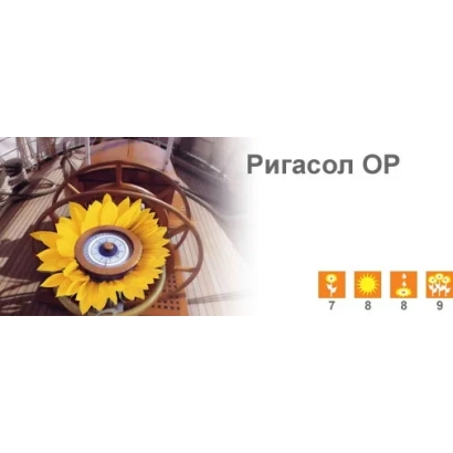 Солнечное поле с надписью Ригасол ОР