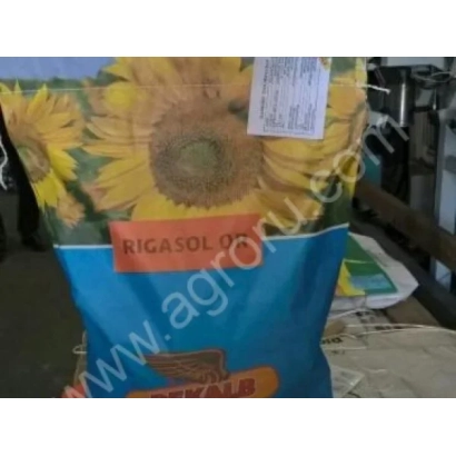 Bag of sunflower seeds Rigasol OR with sunflower imagery