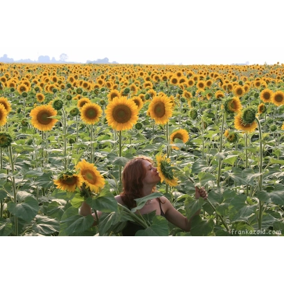 Жінка стоїть у полі соняшника, квіти на фоні - РИМІНІ