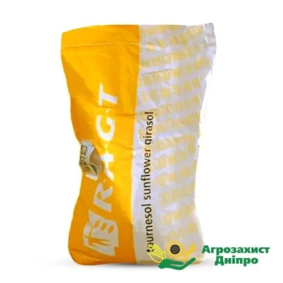 Мішок насіння соняшнику RAGT ANGELO - РЖТ АНЖЕЛЛО