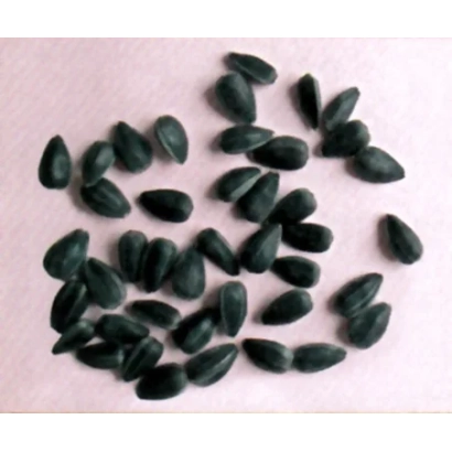 Семена подсолнечника на розовом фоне - САРАТОВСКИЙ 85