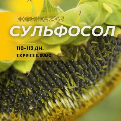 Солнечный диск с надписью Сульфосол