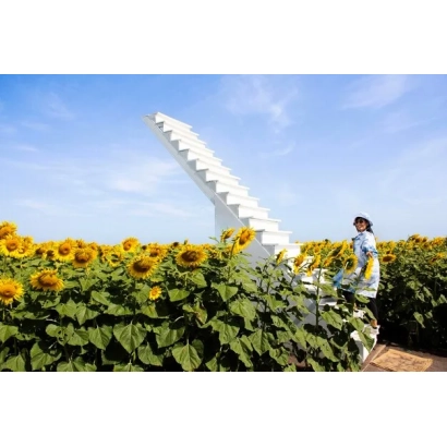 Поле подсолнечника с белой скульптурой и человеком в поле - Тревел