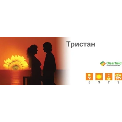 Силуэт пары на фоне заката с подсолнухом и надписью Тристан