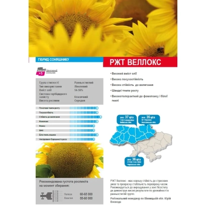 Seed packet of sunflower variety RZT Vellox with variety details and specifications