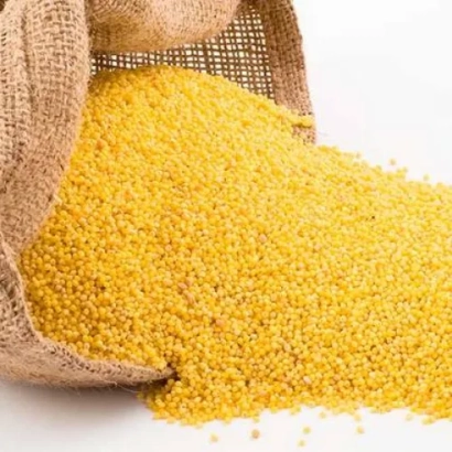 Желтые зерна проса высыпаются из мешка на белый фон. - Корнбергер Миттельфрюе