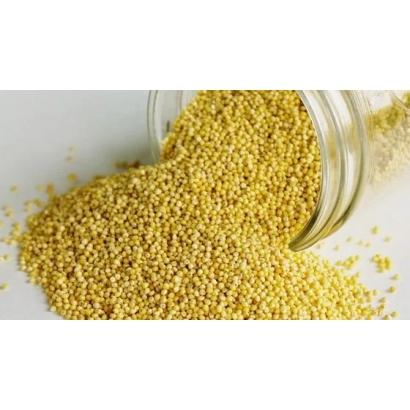 Жовті зерна проса виливаються зі скляної банки на білий фон. - Нур