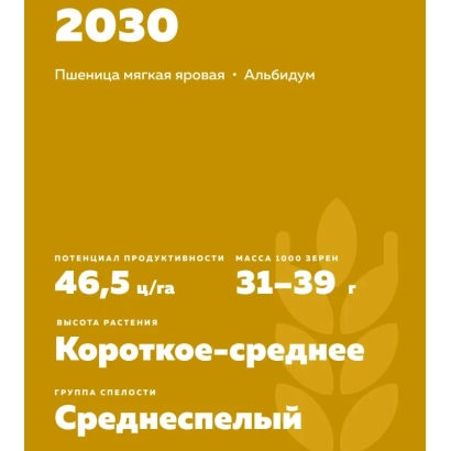 Soft spring wheat Albidum 29 with potential yield of 46.5 c/ha