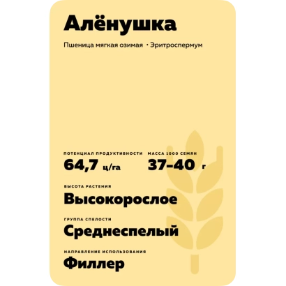Регистрационное фото пшеницы Алёнушка с указанием сорта и характеристик