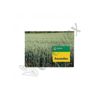 Wheat seed bag Amandus on field background