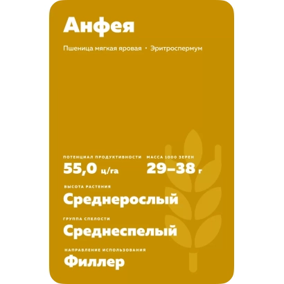Пакет семян пшеницы сорта Анфея