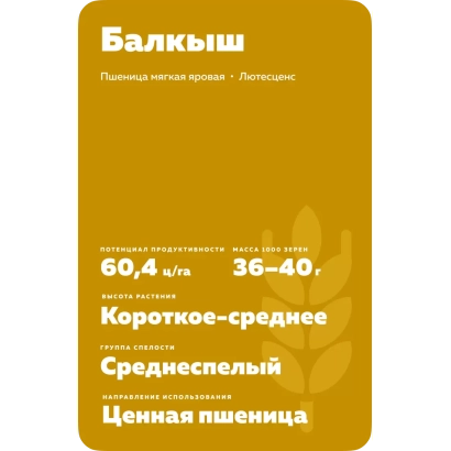 Wheat seed bag Balkysh