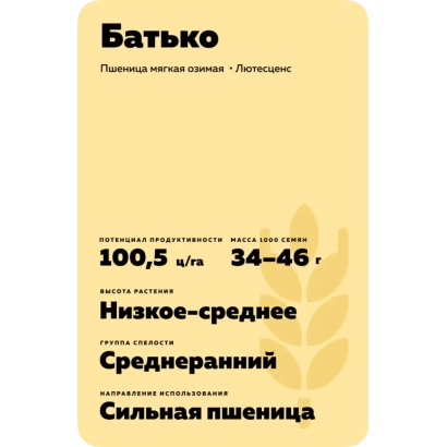 Bag of wheat seeds variety Batyko