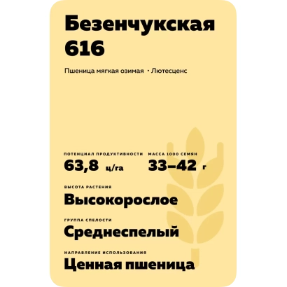 Wheat seed bag Bezenchukskaya 616