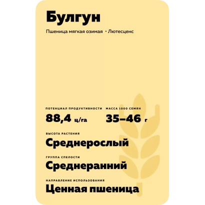 Wheat seed packet of variety Bulgun