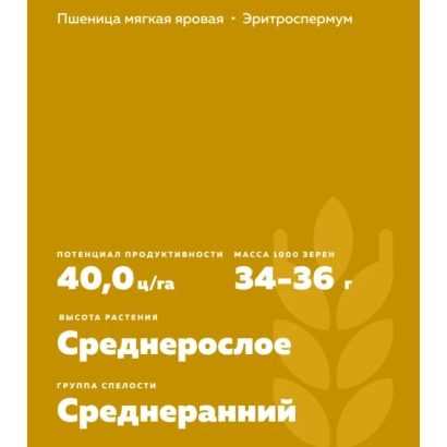 Seed bag for wheat variety CHELYAB 2 showing yield potential and plant height details