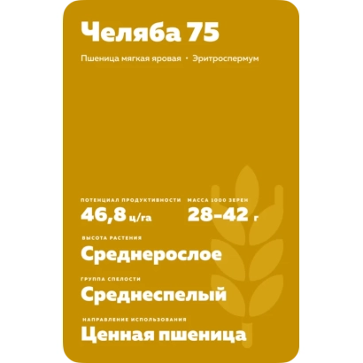 Пакет семян пшеницы Челябинская 75 - ЧЕЛЯБА СТЕПНАЯ