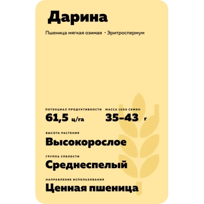 Мешок семян пшеницы сорта Дарина с указанием урожайности и срока созревания