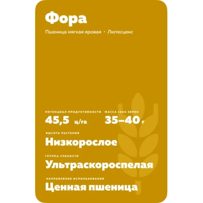 Пакет семян пшеницы сорта Фора