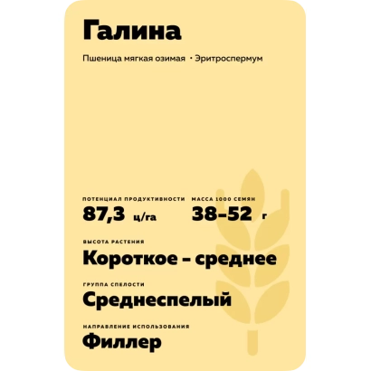 Пакет семян пшеницы Галина с описанием характеристик