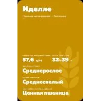 Пакет насіння пшениці Іделле - ХАЗИНЄ