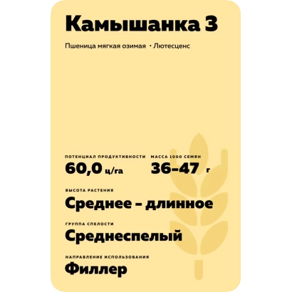 Мішок насіння пшениці Кам'янка 3 - КАМИШАНКА 3