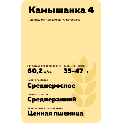Bag of wheat seeds Kamyshanka 4 with variety and characteristics indicated