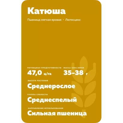 Мішок насіння пшениці сорту Катюша