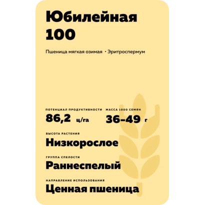 Wheat seed bag labeled Yubileynaya 100 - KAZANSKAYA YUBILEYNAYA