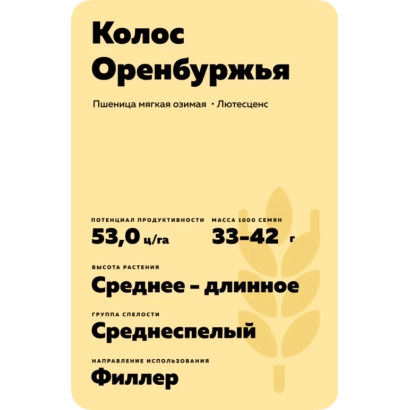 Пакет семян пшеницы КОЛОС ОРЕНБУРЖЬЯ с характеристиками сорта