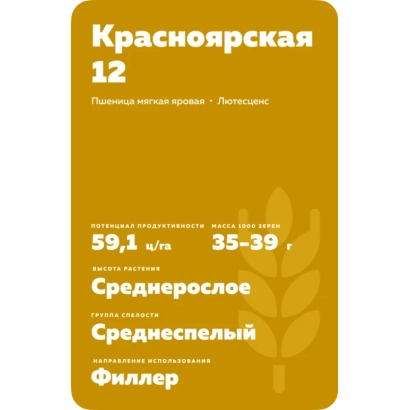 Пакет насіння пшениці сорту Красноярска 12 - КРАСНОЯРСЬКА 12
