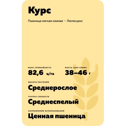 Семечный пакет пшеницы сорта КУРС